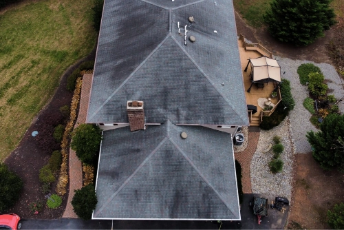 Professional Roof Cleaning