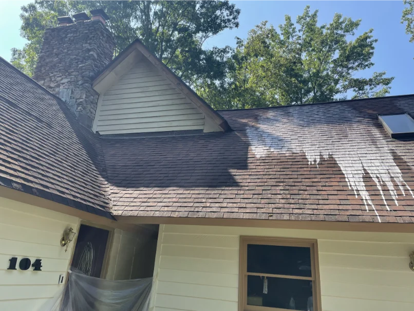 Roof and Gutter Cleaning