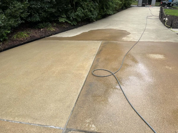 Professional Power Washer