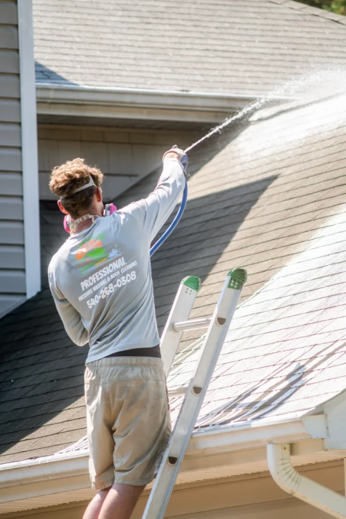 Professional Gutter Cleaning Service